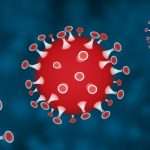 3D graphic illustration of virus cells showing immune response triggers and inflammation.