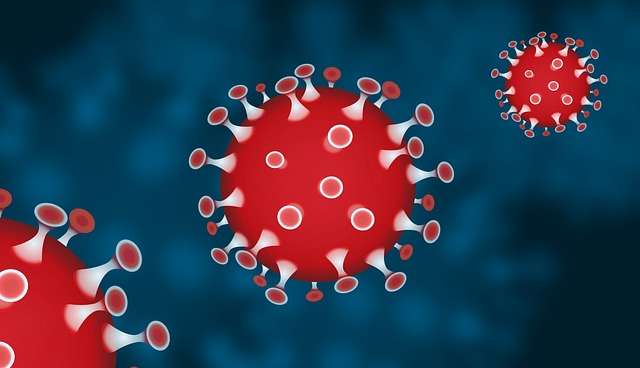3D graphic illustration of virus cells showing immune response triggers and inflammation.